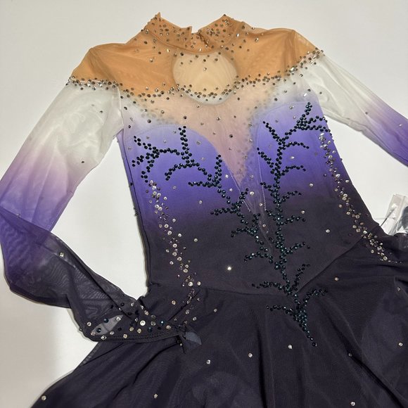 New Figure Skating Dress Girl Size 10 (5~8T) Handmade Jeweled Rhinestone 120~130 - Picture 2 of 11